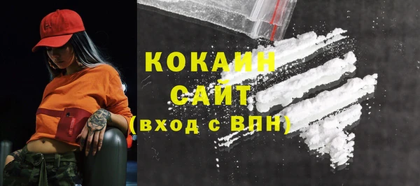 индика Баксан